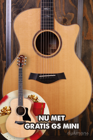 Taylor Custom GA LTD Cocobolo