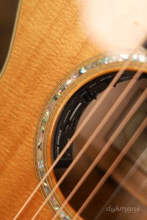 Taylor GC6