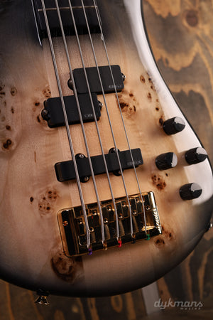 Spector Euro 5 CST - Natural Black Burst Gloss