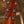 Martin OM-28-GE