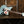 Squier Paranormal Electric VI Daphne Blue