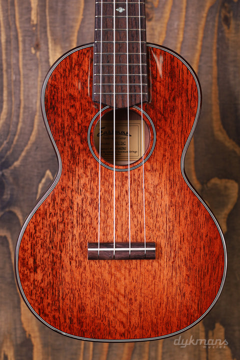 Eastman EU3-C