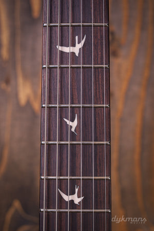 PRS SE Silver Sky Limited Edition Gold Sparkle