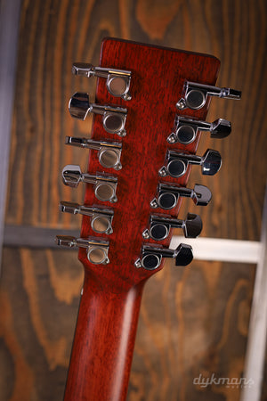 Eastman E1D-12-DLX 12-String