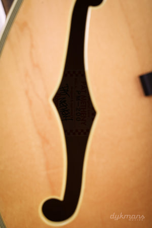 Ibanez PM200 Pat Metheny