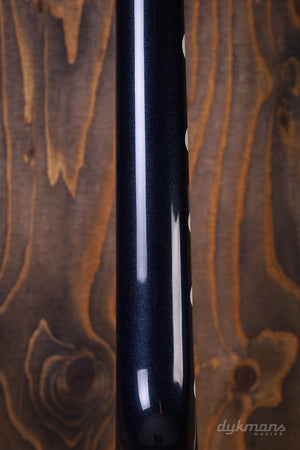 G6136T-RR Rich Robinson Signature Magpie with Bigsby