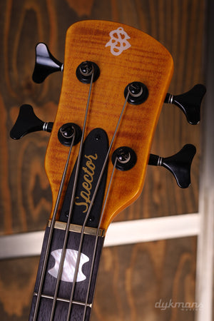 Spector Euro Euro 4 LX Amber High Gloss