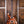 PRS Wood Library Hollowbody II Copperhead Burst Wood Library