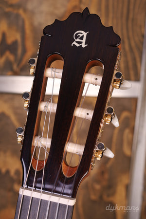 Alhambra 6 Olive Exotic Wood/ Spruce