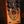 Beetronics Larva