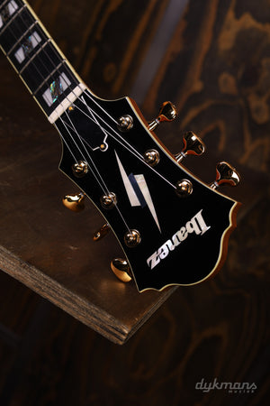 Ibanez PM200 Pat Metheny