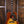 Gibson Hummingbird Koa Carpathian Spruce