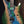 Mayones Regius 6 Buckeye Burl Master Grade Custom Color PRE-ORDER