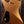 Dingwall D-Roc Matte Gold LTD 4-String