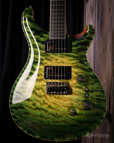 PRS Private Stock #10485 CU 24-08 Rainforest Glow w/ Birds of a Feather Inlay