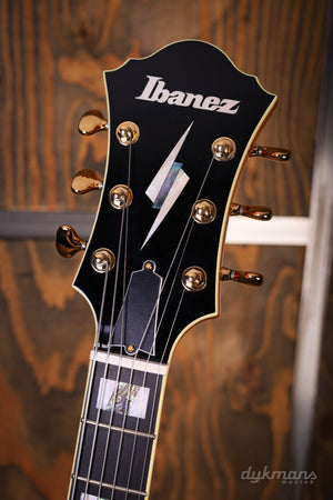 Ibanez PM200 Pat Metheny