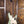 Fender Player II Stratocaster Birch Green