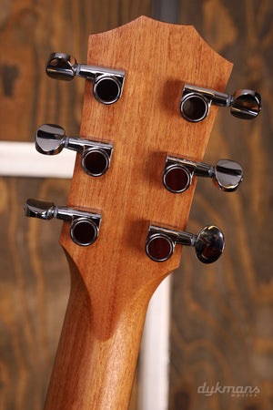 Taylor GS mini-e Special Edition Paisley Burst