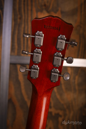 Eastman SB55DC/TV