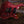 PRS Custom 24-08 Wood Library Pomegranate