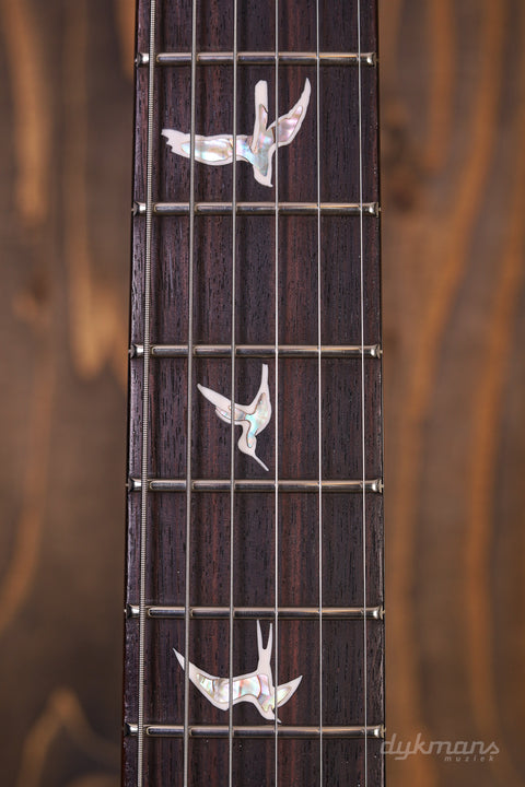 PRS DGT Birds Goldtop