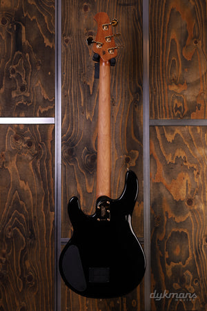 Music Man Stingray Special HH Jackpot