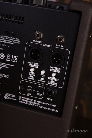 Fender Acoustic Junior GO