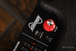 Laney AH200 200W Multi-Instrument Combo Amp