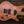 Mayones Regius V24 6 Master Grade Spalted Maple
