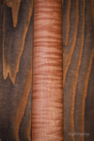 Music Man Saber Rabea Massaad Vileblood Burst PRE-ORDER!