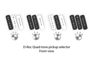 Dingwall Rob VDL Signature D-Roc Custom Candy Pearl Wild Cherry