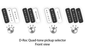 Dingwall D-Roc Standard 5 Black Matte