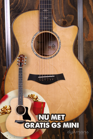 Taylor Custom GA Maple