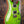 PRS Custom 24-08 Eriza Verde