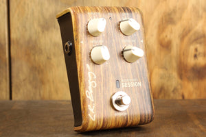 L. R. Baggs Align Series Session