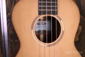 Kala Tenor Ukulele All Solid Cedar Top Pau Ferro