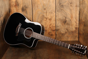 Taylor 250ce-BLK DLX B-stock